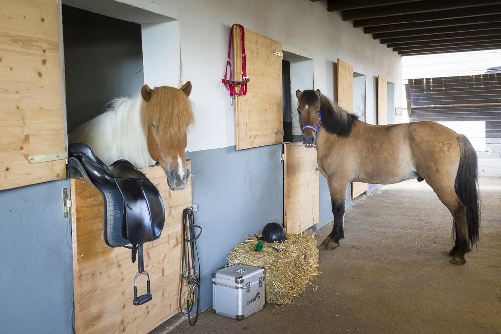 Hotel Reitzentrum Hausruckhof Ampflwang im Hausruckwald Eksteriør billede