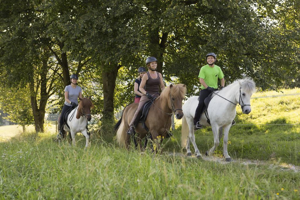 Hotel Reitzentrum Hausruckhof Ampflwang im Hausruckwald Eksteriør billede
