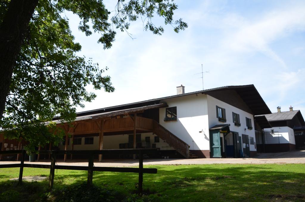 Hotel Reitzentrum Hausruckhof Ampflwang im Hausruckwald Eksteriør billede